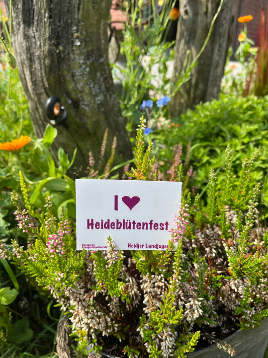 Sticker "I ❤ Heideblütenfest"