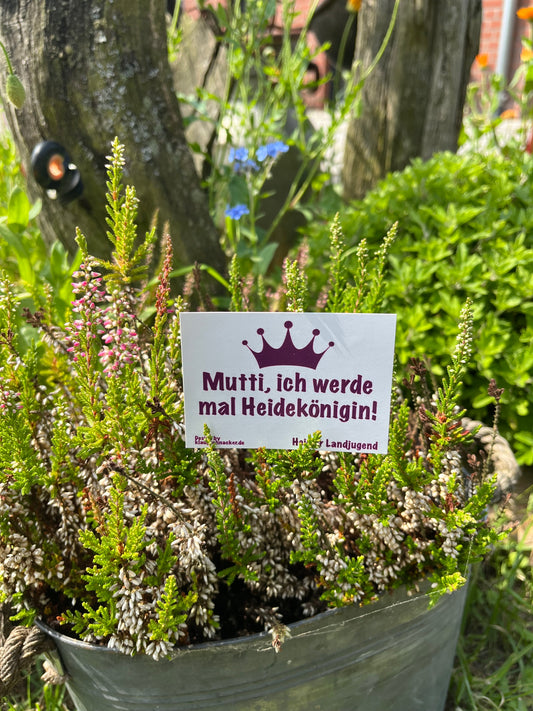 Sticker "Mutti, ich werde mal Heidekönigin!"